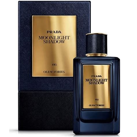 prada olfactories collection|prada olfactories moonlight shadow.